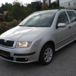 savvyskoda-fabia